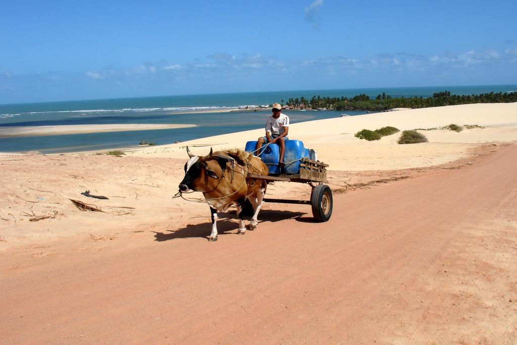 Pousada Barra Do Mundaú エクステリア 写真